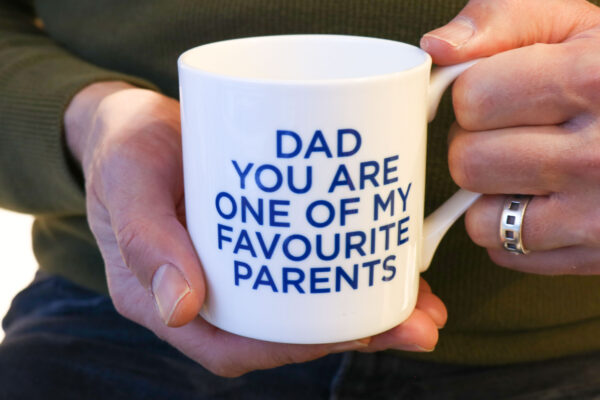 Love Mugs You're My Favourite Dad China Mug